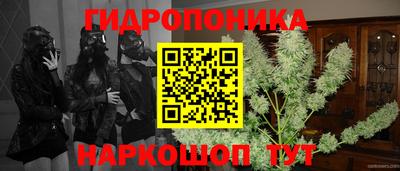 метамфетамин Бердск