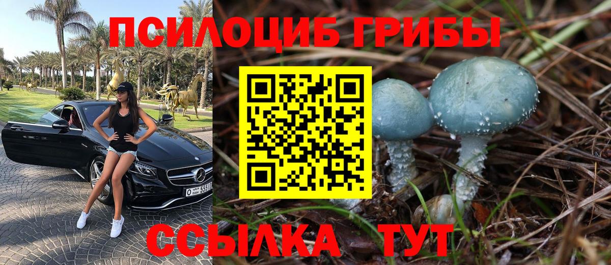Нефтекумск  цена наркотик  Псилоцибиновые грибы GOLDEN TEACHER  Вход с VPN  Псилоцибиновые грибы ЛСД 